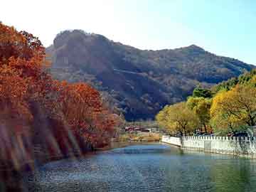 天天彩好彩天天免费，乡村小子闯都市